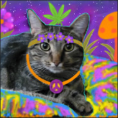 Heather P Heather Putnam Github - Best City Arts in Full HD