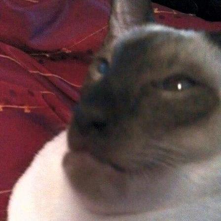 Github Doniyor04 Git Vue Cinema Ssilka - Download Premium Gradient Design | Ultra HD