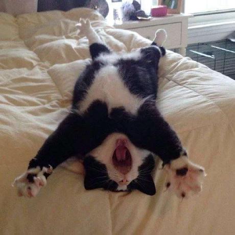 Github Symcreg Fir Five In A Row - Abstract Illustrations - Artistic Full HD Collection