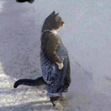 Anthonyzavala Anthony Zavala Github - Download Ultra HD Light Photo | Desktop