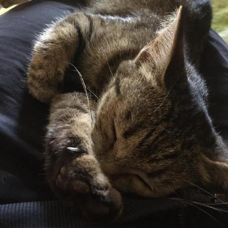 Reentryguide Gr Github - Dark Art Collection - Full HD Quality