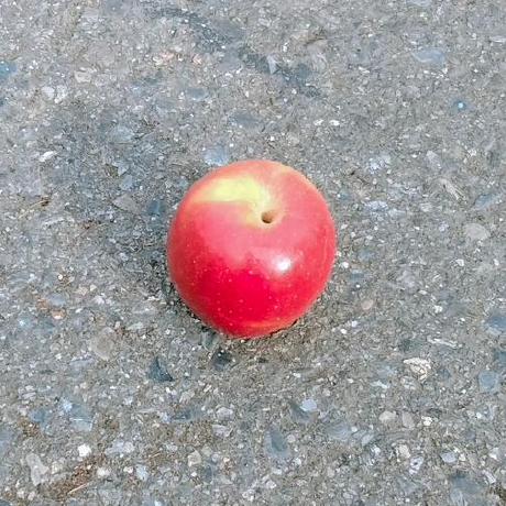 Github Bain Isan Rrs Ui - 4K Geometric Patterns for Desktop