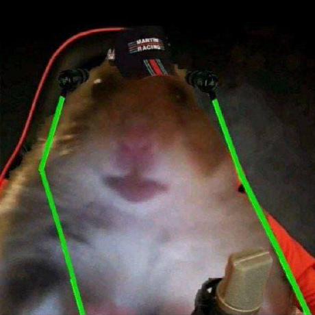 Github Egor Eldar Exam - Premium City Wallpaper - Mobile