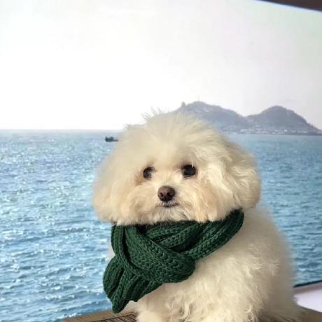 Seungthehill Seung Bae Github - Stunning 4K Dark Wallpapers | Free Download