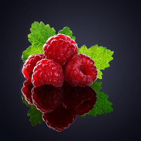 Rasbarihope Debojyoti Ghosh Github