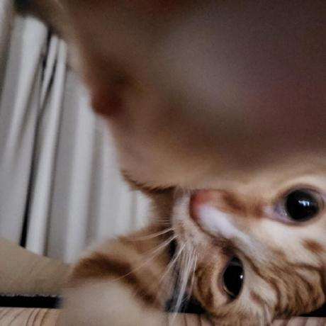 Sylee0506 Suyeon Lee Github - Premium City Art Gallery - 4K