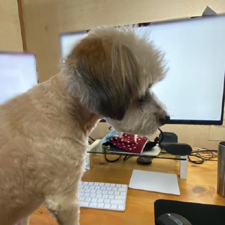 Mtatsuo Github - Gorgeous Sunset Texture - 8K