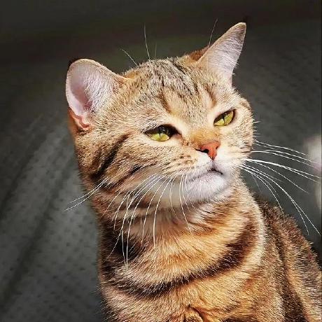 Rezzydn Andrean R Github - 4K Gradient Patterns for Desktop