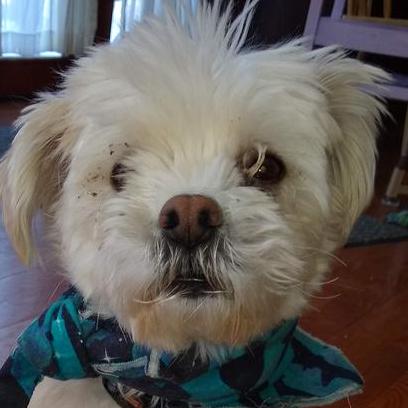 Sarahogden2017 Sarah Ogden Github - Download Stunning Light Picture | HD