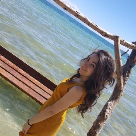 Elen Aramyan Github - Colorful Wallpaper Collection - Retina Quality