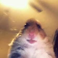 Raphaelacabrera Raphaela Cabrera Github - Download High Quality Abstract Photo | Full HD