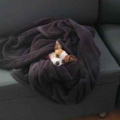 Goldenboy1214 Juanmanuel 1214 Github - Ocean Pattern Collection - Ultra HD Quality