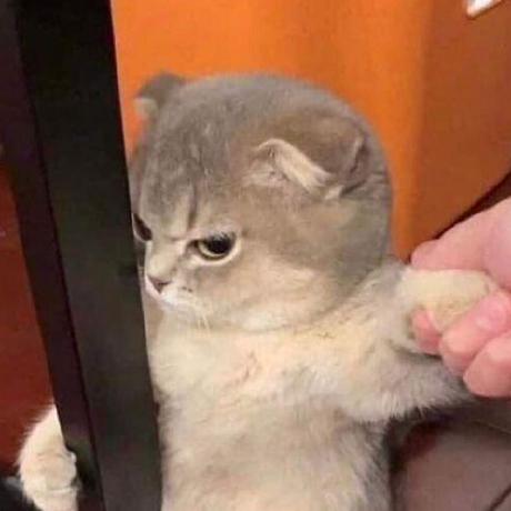 Allentran561 Allen Tran Github - Gradient Designs - Modern Ultra HD Collection