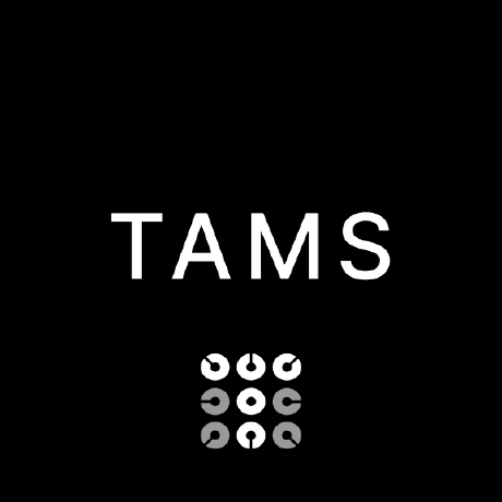 Github Adrushtshetty Tams Website - Artistic 4K Light Wallpapers | Free Download