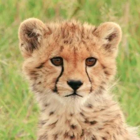 Techterrydev Terry Github - Premium City Design Gallery - 4K