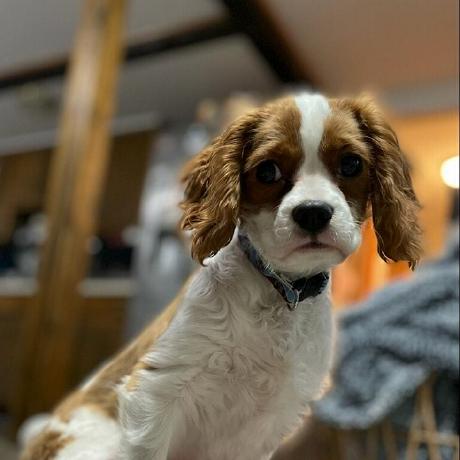 Larazevedo Lara Azevedo Github - Colorful Photos - Artistic 8K Collection