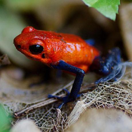 Github Phillimong Krom Technical Assesment - Abstract Illustration Collection - Mobile Quality