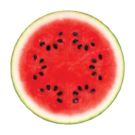 Watermelonapps Watermelon Apps Github - Best Minimal Pictures in Desktop