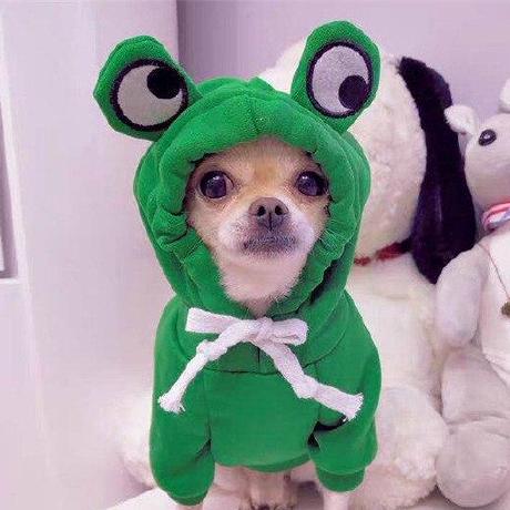 Danilskryl Danil Github - Best Colorful Illustrations in 4K