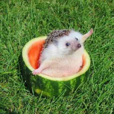 Jptksc Jason Schuller Github - Premium City Photo Gallery - Desktop