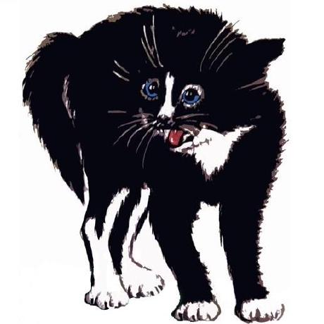 Github Mihaylovgit Rainingcatsanddogsonweb - Sunset Wallpaper Collection - HD Quality