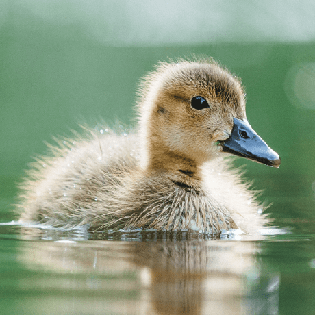 Hiavatar Github - Sunset Backgrounds - Stunning Desktop Collection