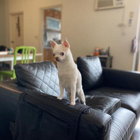 Austin20010423 Austin Github