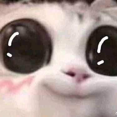 Projectbachelordegree Github