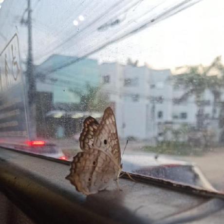 A Israel M Github - Retina Light Wallpapers for Desktop