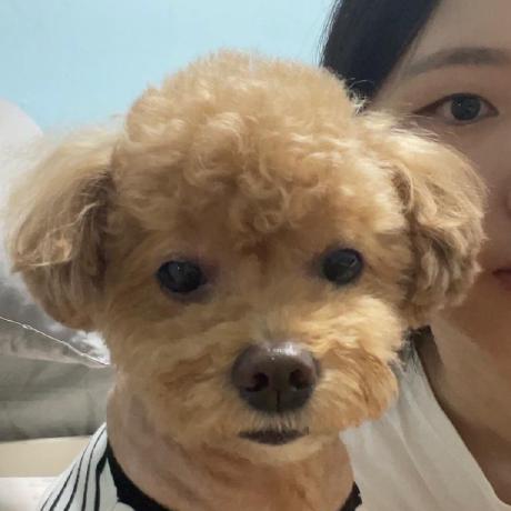 Yohanshin Soyong Shin Github - Download Amazing Nature Illustration | Ultra HD