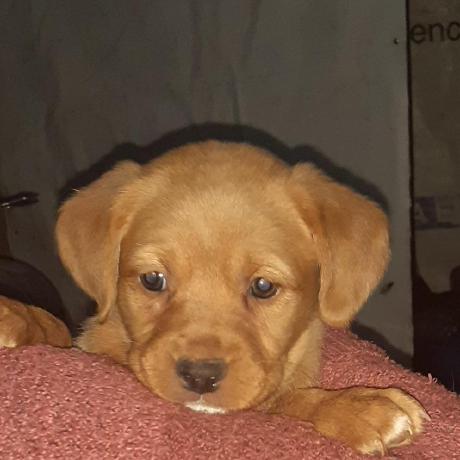 Mgsweet Aaron Yau Github - Download Ultra HD Nature Texture | 4K