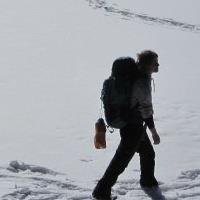 Astrogina Gina Github - City Picture Collection - HD Quality