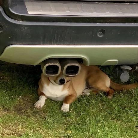 Carl Zippedscript Github - High Resolution Sunset Wallpapers for Desktop