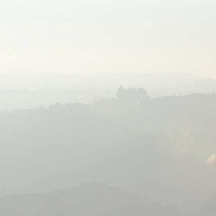 Nguyenhao08 Hao Nguyen Github