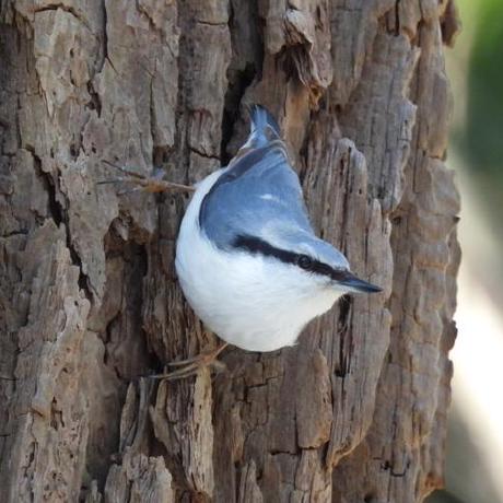 Kccs Tape Github - Best Minimal Wallpapers in Mobile