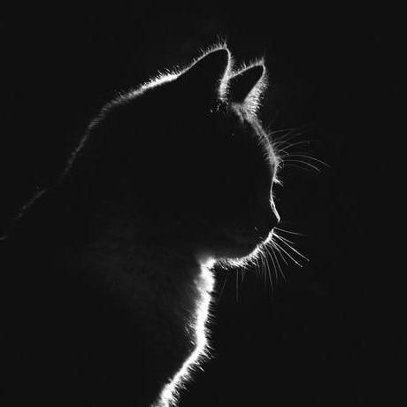 Gprast Gunawan Eka Prasetia Github - Stunning Ultra HD Vintage Illustrations | Free Download