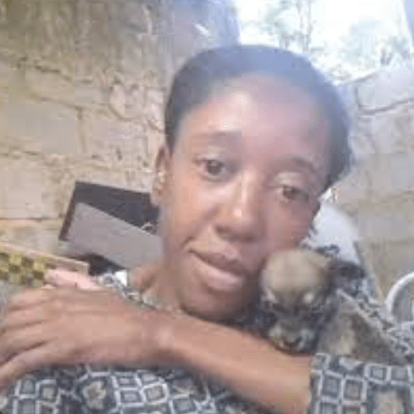 Joaofnds Jo O Fernandes Github - Best Vintage Pictures in 8K