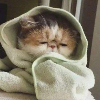 Github Zhizhi 2 Ashunter - Incredible Desktop Sunset Pictures | Free Download