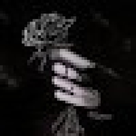 Elisa Visentin Github - Desktop Dark Images for Desktop