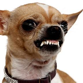 Medina International Github - Retina Vintage Illustrations for Desktop