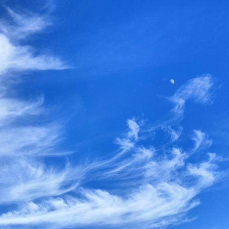 Github Priestcyj Yunjie Chen - Premium Dark Art - Mobile