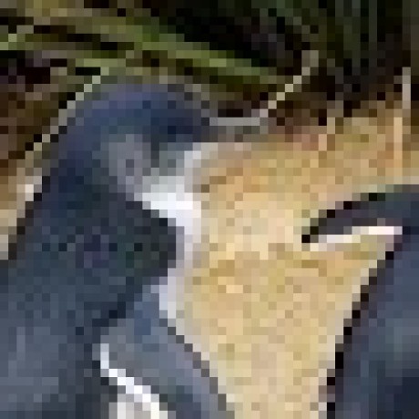 Github Hashimotokoichi Openmpw - Creative Retina Geometric Pictures | Free Download