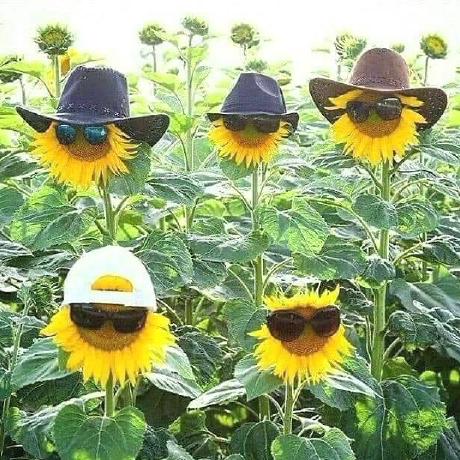 Omar Mega Byte Omar Elrfaay Github - Download Artistic Mountain Art | 8K