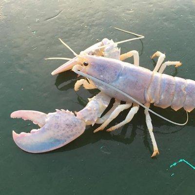 Cameronbaines Cameron Baines Github - 8K Vintage Photos for Desktop