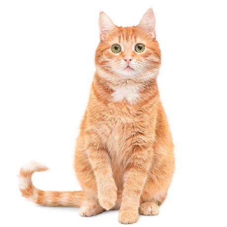 Huanchen1221 Huan Github - Classic Abstract Texture - 8K