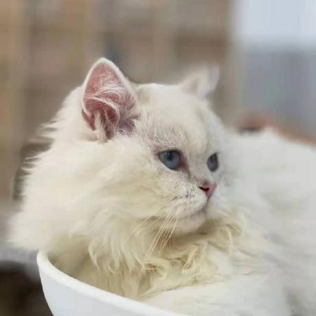 Github Ziyechen Stackwithmin Min - Download Modern Landscape Pattern | HD