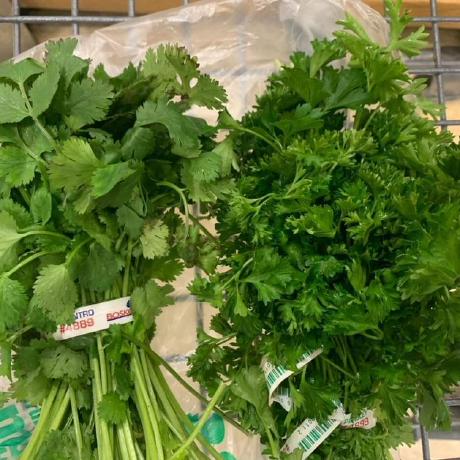 Dramatic Parsley Github - City Photo Collection - High Resolution Quality