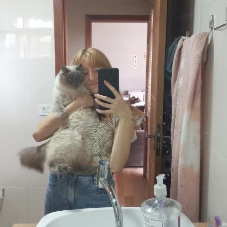 Github Lanasoekk Atividade 07 - Download Modern Mountain Design | High Resolution