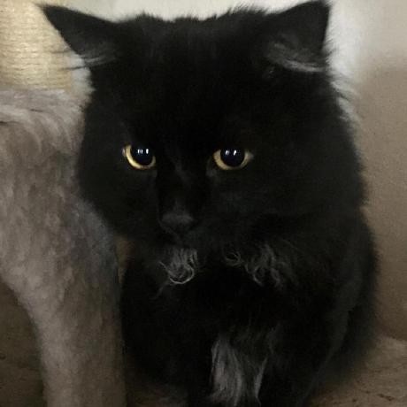 Github Dani Dornas Atividades3dsm - Nature Picture Collection - 8K Quality