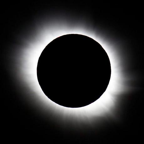 Nocturno Github - Vintage Designs - Gorgeous Mobile Collection